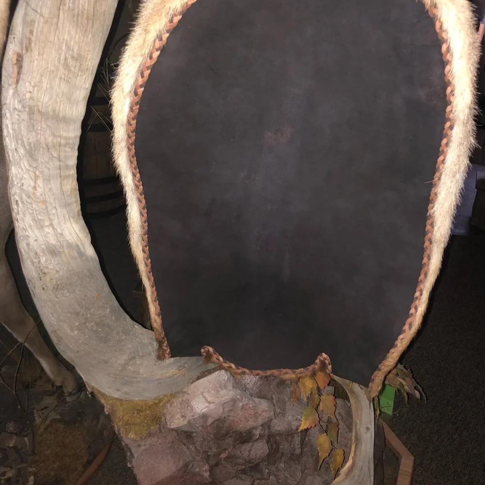 Elk mount